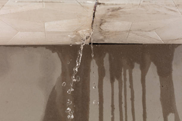 Professional Structural Drying technician working in Whipple, OH